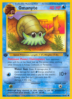 Omanyte 52/62 — Fossil