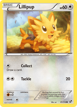 Lillipup 81/114 — Black & White