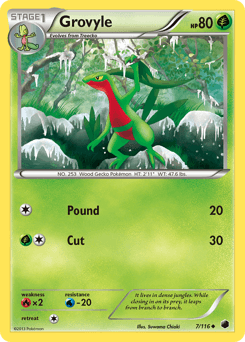 Grovyle 7/116 — Plasma Freeze