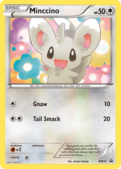 Minccino BW13/101 — BW Black Star Promos