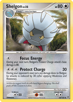 Shelgon 64/132 — Secret Wonders