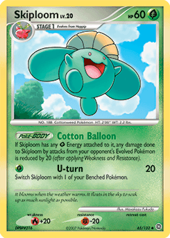 Skiploom 65/132 — Secret Wonders