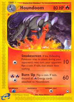 Houndoom 14/147 — Aquapolis