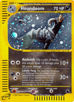 Houndoom H11/144 — Skyridge