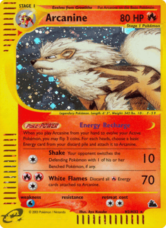 Arcanine H2/144 — Skyridge