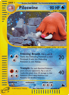 Piloswine H22/144 — Skyridge