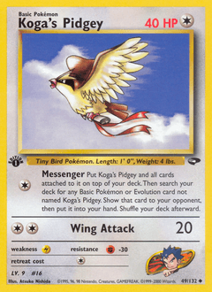Koga's Pidgey 49/132 — Gym Challenge