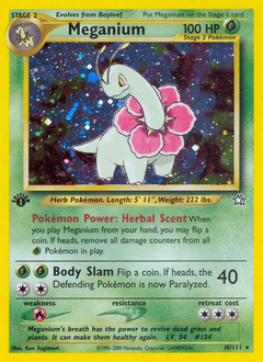 Meganium 10/111 — Neo Genesis