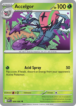 Accelgor Pokémon card