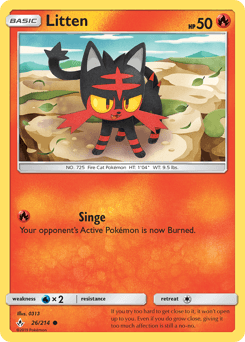 Litten 26/214 — Unbroken Bonds