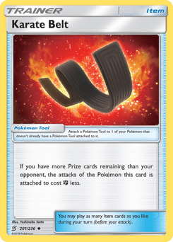 Karate Belt 201/236 — Unified Minds