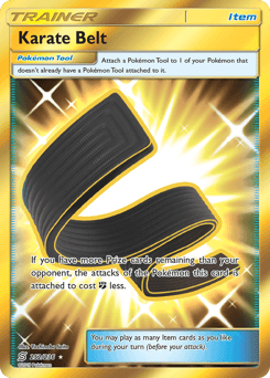Karate Belt 252/236 — Unified Minds