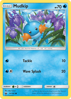 Mudkip 33/168 — Celestial Storm