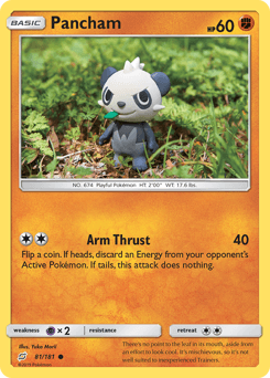 Pancham 81/181 — Team Up