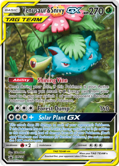 Venusaur & Snivy-GX SM229/248 — SM Black Star Promos