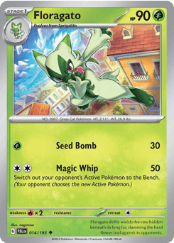 Floragato 14/193 — Paldea Evolved