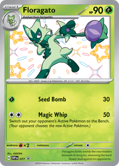 Floragato 77/215 — Scarlet & Violet Black Star Promos