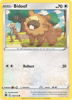 Bidoof 120/172 — Brilliant Stars