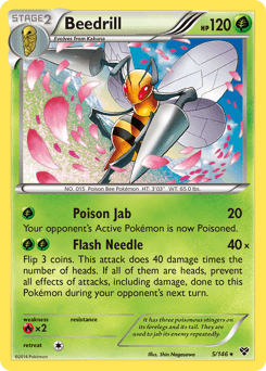 Beedrill 5/146 — XY