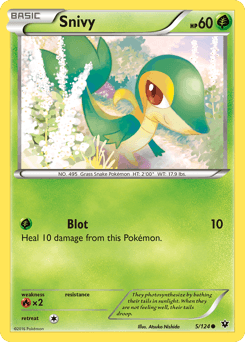 Snivy 5/124 — Fates Collide