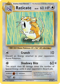 Raticate 67/108 — Evolutions