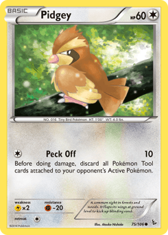 Pidgey 75/106 — Flashfire