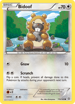 Bidoof 116/160 — Primal Clash