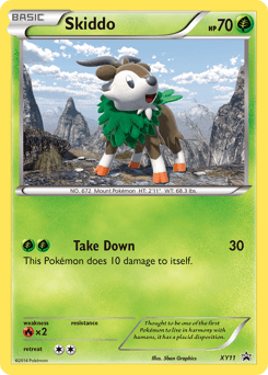 Skiddo XY11/211 — XY Black Star Promos