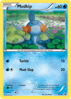 Mudkip XY38/211 — XY Black Star Promos