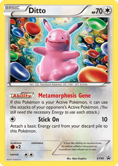 Ditto XY40/211 — XY Black Star Promos