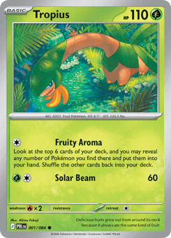 Pokémon card illustrated by Akino Fukuji