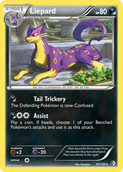 Liepard 91/149 — Boundaries Crossed